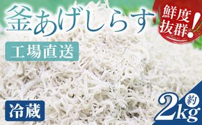 【冷蔵】釜あげしらす(ちりめん) 約2kg - 国産 ちりめん しらす シラス 稚魚 魚介 魚 海産物 天日干し 釜茹で ドロメ サラダ 和え物 アレンジ 料理 ご飯のお供 三浦屋海産 高知県 香南市 冷蔵 mu-0017