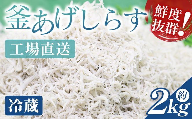 ymszy①z炷(߂) 2kg - Y ߂ 炷 VX t   CY V 䥂 h T_ a AW  т̂ OYCY m s ① mu-0017