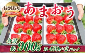 ギフト配送 約450g×2パック 計900g EX 福岡県産 あまおう 特別栽培【2027年1月上旬から3月下旬発送予定】 いちご 苺 イチゴ ベリー 果物 フルーツ お取り寄せ デザート おやつ