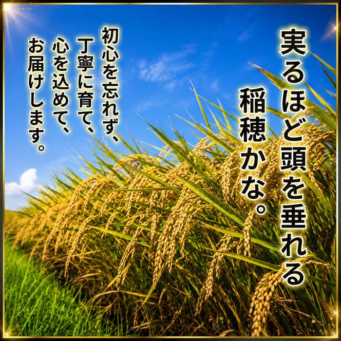 令和8年産 新米 キヌヒカリ 5kg (精米) 明田のお米 精米 お米 新米 南丹市 京都 新米26