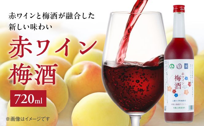 EM6113_赤ワイン梅酒2025　720ミリリットル