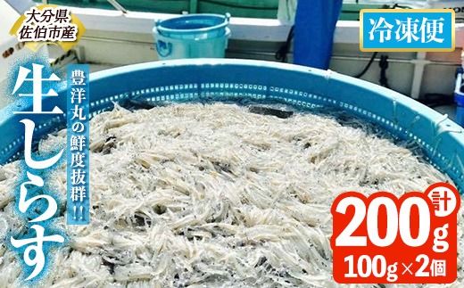 y啪szLmۂ̑NxQI 炷Zbg (v200gE100g×2) Ⓚ 炷 炷 Ԃ    ͂ u `[n pX^ T_ Y 啪 pbN  ֗ 啪 syHK01zyOITA炷hoyomaruLmہz