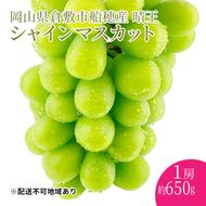 ぶどう 2026年度分 先行予約 【プレミアムシャインマスカット 晴王 1房 約650g】船穂産　赤秀品以上  岡山県産 葡萄 ブドウ ギフト ハレノフルーツ 皮ごと食べる みずみずしい 