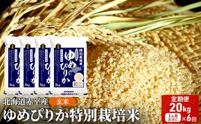 玄米 北海道赤平産 ゆめぴりか 20kg (5kg×4袋) 特別栽培米 【1ヵ月おきに6回お届け】 米 北海道 定期便 ふるさと納税