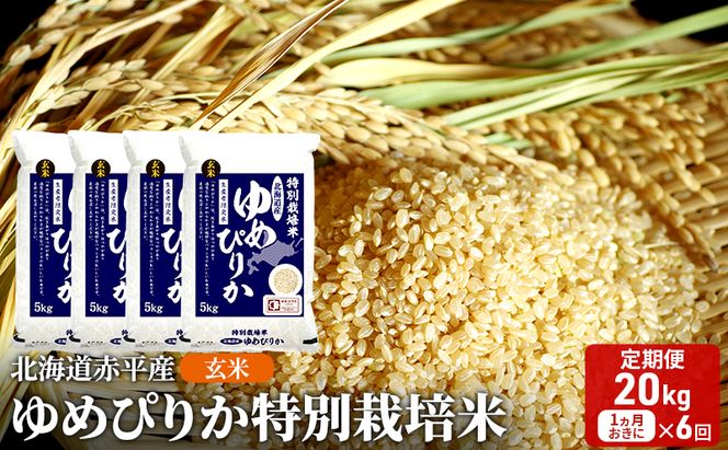 玄米 北海道赤平産 ゆめぴりか 20kg (5kg×4袋) 特別栽培米 【1ヵ月おきに6回お届け】 米 北海道 定期便 ふるさと納税