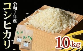 コシヒカリ 精米 10kg (5kg×2) ( 米 お米 こめ コメ おこめ 白米 精米 こしひかり コシヒカリ 令和7年産コシヒカリ 松阪産コシヒカリ 三重県 松阪市)【002109A】
