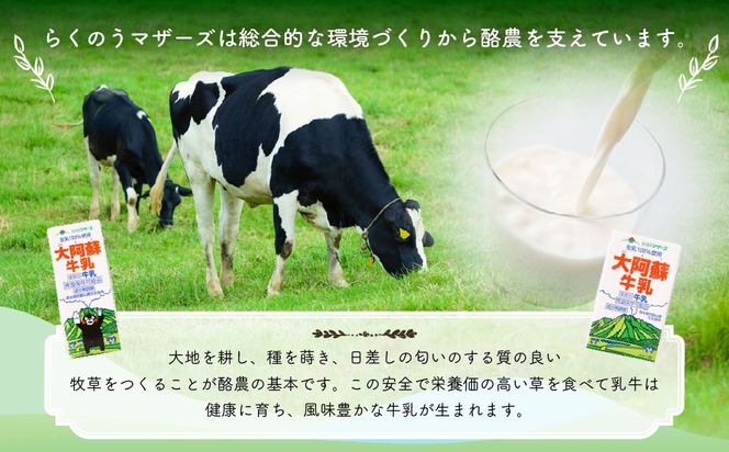大阿蘇牛乳 200ml×24個入（1箱） 牛乳 ミルク 成分無調整 紙パック パック ロングライフ 長期保存 常温 熊本県 上天草市