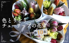 色とりどりチューリップの花束（10本） ※2027年1月～発送