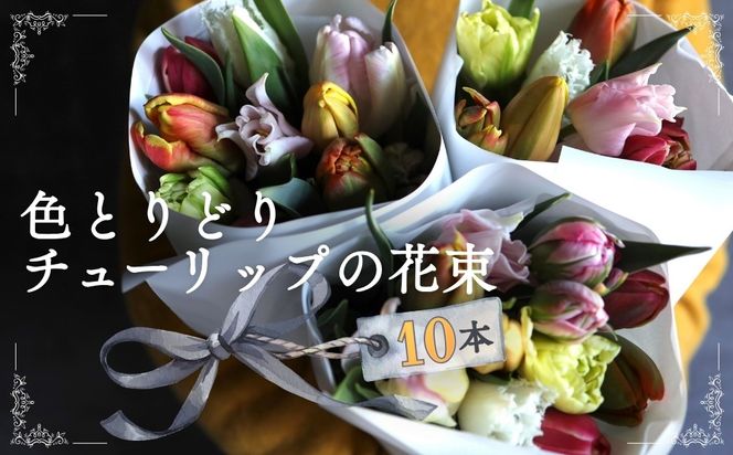 色とりどりチューリップの花束（10本） ※2027年1月～発送