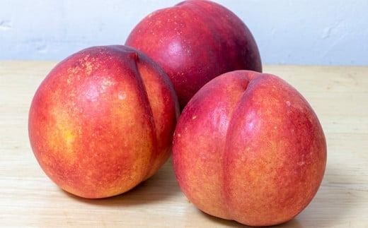 長野産 倉島ネクタリン 約2.8kg ［おぶせファーマーズ］先行予約 ネクタリン 果物 フルーツ 冷蔵便 クール便 長野県産 信州産 令和7年産【2025年7月中旬〜8月上旬発送】 ［F-46］