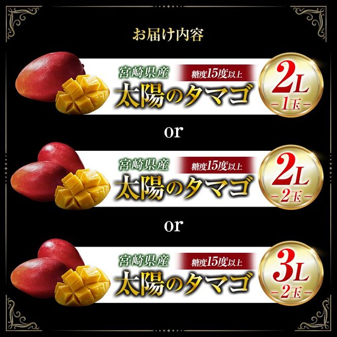 【令和8年発送 先行予約】完熟マンゴー「太陽のタマゴ」 2L×2玉（フルーツ マンゴー 完熟マンゴー アップルマンゴー 果物 くだもの 先行受付）