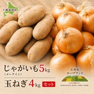 【先行予約】じゃがいも5kg・玉ねぎ4kgセット（メークイン）【十勝幕別 北海道ホープランド農場】 たまねぎ 野菜 詰合せ 