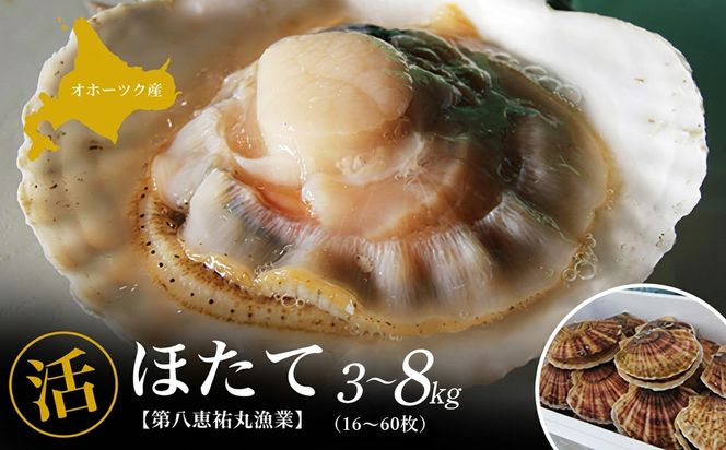 オホーツク産 『活』ほたて 選べる容量 3～8kg SRMN001-v