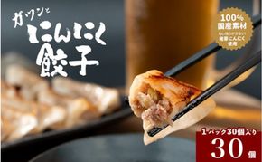 発芽にんにく餃子30個入り 餃子 にんにく にんにくたっぷり 国産にんにく 発芽にんにく 冷凍 臭わない 栄養価抜群 スタミナ 免疫アップ おつまみ おかず 総菜 餃子専門店 ぎょうざ 工場直売 