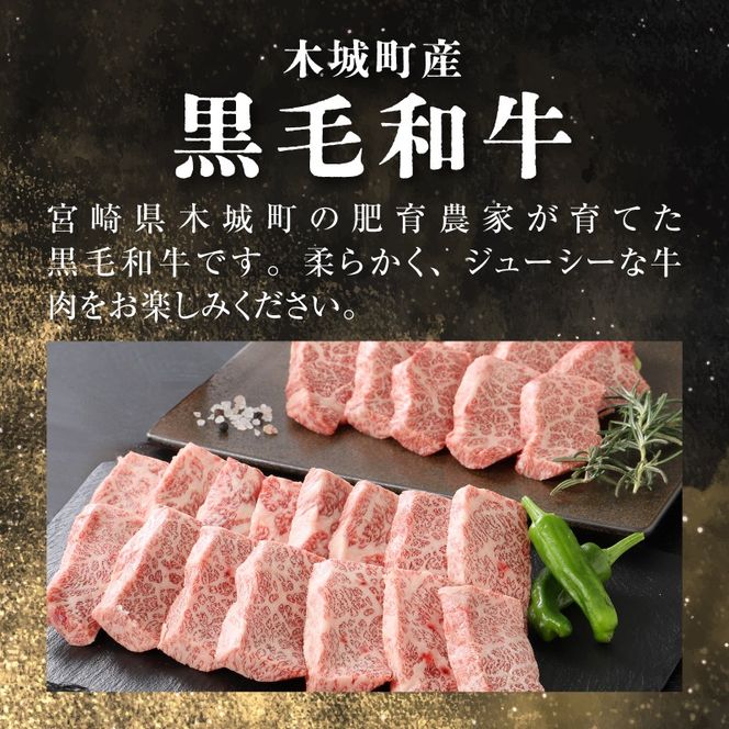 宮崎県産黒毛和牛 特上焼肉用500gと焼肉のたれセット  K16_0006_1