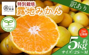 【2回定期便】ふじ農園の露地みかん 訳あり品 5kg(2S～M) 国産 小玉 蜜柑 ミカン 柑橘 果物 フルーツ 訳アリ ご家庭用 自宅用 ふじ農園 高知県 香南市 Wfn-0021