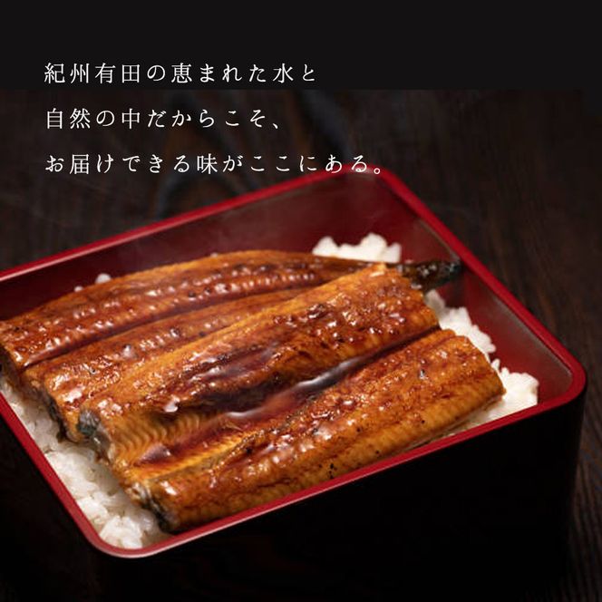 BC6006_うなぎ蒲焼 2本 角長特製蒲焼タレ 1本 セット 国産 安全 ふっくら うなぎ こだわり 蒲焼き 蒲焼 タレ うな丼 うな重 ひつまぶし う巻き うなむすび 土用 丑の日 水産加工品 魚介 海鮮 海産物 冷凍 和歌山県 湯浅町 お取り寄せ お取り寄せグルメ 送料無料