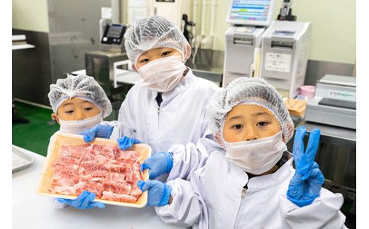 お肉博士と工場見学　近江牛スゴーイ！～お持ち帰りできる近江牛500g付～【CB13W】