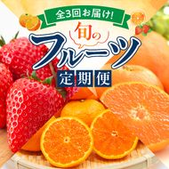【定期便 全3回】紀州和歌山産旬のフルーツ定期便（田村みかん、いちご、なつみ）_G60-T76