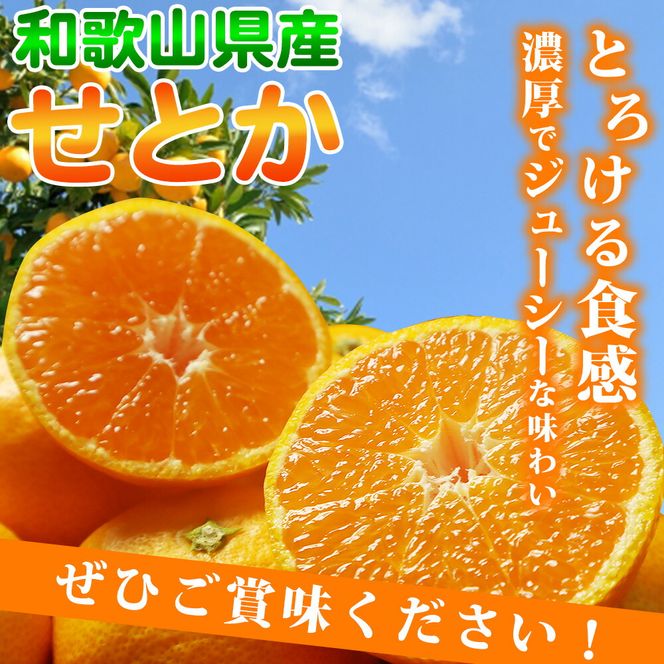【2027年先行予約】とろける食感！ジューシー柑橘 せとか 5kg 【家庭用 訳あり】_G7355