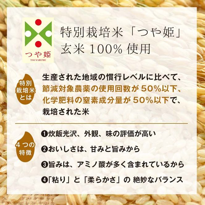 FYN6-515 【定期便】栄養満点！スーパー大麦もち麦・玄米ごはん 12個セット×3回 山形県産つや姫 パックライス パックごはん お米 玄米 保存食 備蓄 常温 レンジ 簡単