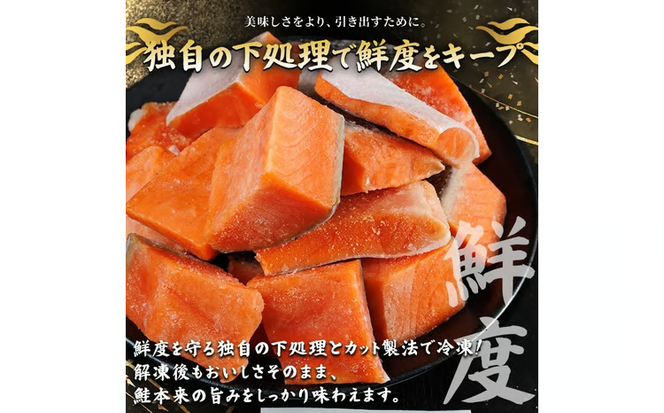 骨取り サーモン カット(計1kg・500g×2袋)サーモン切り落とし5枚付き 皮付き 鮭 ダイスカット 小分け 骨とり 骨なし 骨取り済 カット済 簡単 魚 冷凍 お弁当 おかず 【AW-74】【丸正水産】