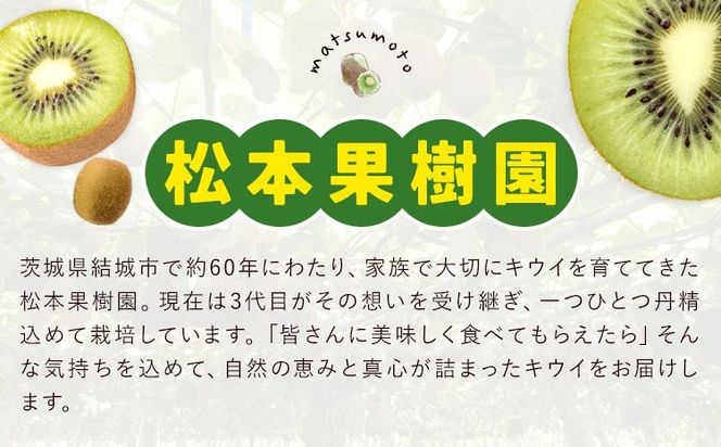 キウイフルーツ ヘイワード 約4kg 24玉 ～ 30玉 松本果樹園 《12月中旬-1月末頃出荷》茨城県 結城市 キウイ きうい グリーンキウイ 果物 フルーツ 新鮮 国産 ギフト 贈答 送料無料---yuki_mtm_1_4kg---