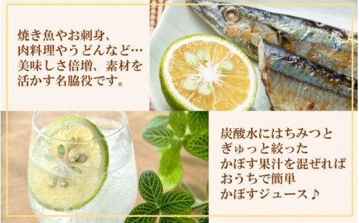 【先行予約】素材を活かす名脇役 大分県産かぼす1.8kg_2254R
