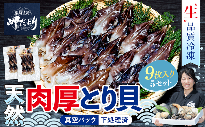 岬だよりの＜天然＞肉厚とり貝お刺身 とり貝＜中9枚入り＞5セット
