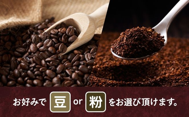 豆 粉 選べる 木炭焙煎珈琲 3種 600g＆ドリップバッグ 20個 セット ドリップコーヒー 木炭焙煎珈琲 おうちカフェ 黒ねこブレンド 豆ねこ 深煎り 中煎りロースト ブレンド マイルド 本格 焙煎 リラックス コーヒー豆と雑貨の店豆ねこ 鳩山町