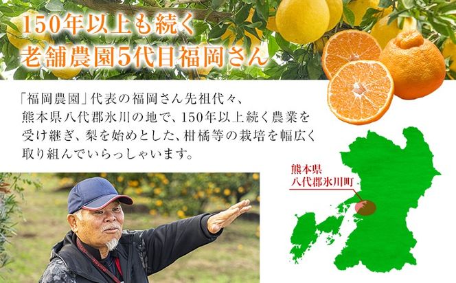 不知火 福岡農園 不知火 2kg 5kg 《1-5日以内に出荷予定(土日祝除く)》熊本県 氷川町 柑橘 果物 フルーツ shiranui しらぬい 柑橘 旬 フルーツ 熊本県産 速攻出荷 みかん---hkw_snfuk_s_r7_6000_2kg---