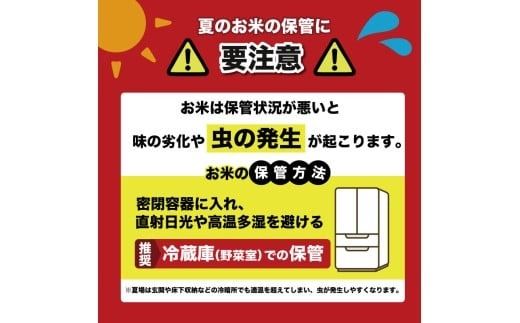 令和7年産 にこまる 白米 選べる 5kg 10kg 1回 4回 定期便 お米 精米 新米 ごはん ご飯 高知県産 弁当 おにぎり 料理 新嘗祭皇室献上米 令和7年 R7年 高知県安芸市 もちもち食感 美味しい 農家直送 先行予約 定期便 高級米 ブランド米 冷めても美味しい 炊き立て 食べ比べ 人気 おすすめ 贈答用 ギフト 安芸市 高知県