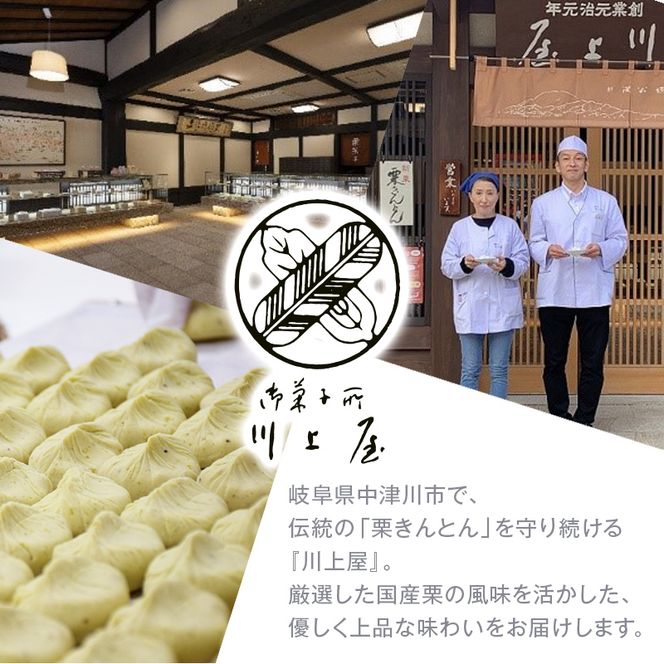 【2027年4月お届け】 御菓子所 川上屋 柿の美きんとん 10個入り F4N-1904
