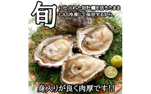 特大!天然岩牡蠣/特上1.6kg(2～3コ/殻付き生食用)CAS冷凍カキ 海鮮バーベキューBBQに