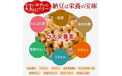 【選べる3種・配送回数】納豆 ひきわり 大粒 納豆 道南平塚食品 30個 | 納豆 セット 粒 ミニカップ たれ付き 順次発送 定期便3~10回 北海道産大豆100% お取り寄せ ご飯のお供 小分け 産地直送 国産 小粒 なっとう ナットウ ふるさと納税 人気 おすすめ ランキング 北海道 登別市