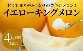〈予約受付〉【2027年発送】 完熟！イエローキングメロン 4kg前後（4玉） 追熟不要 甘い さっぱり スイーツ 果物 さわやか かわいい H141-018
