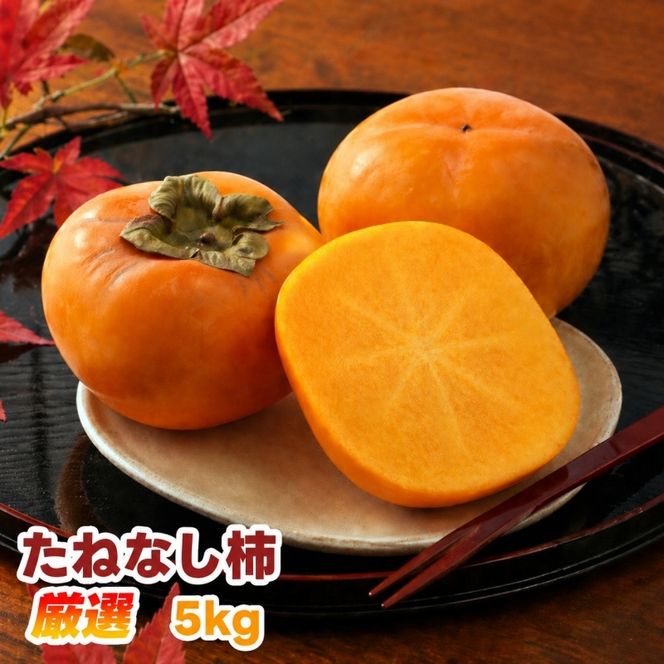 たねなし柿 5kg 厳選 / 柿 刀根早生 平核無柿 富有柿 ※2026年9月下旬から11月上旬に順次発送 ※北海道・沖縄・離島への配送不可  【ikd504-p-5】