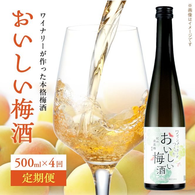 おいしい梅酒定期便【全4回】_EM60-T01