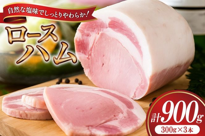 yÉgczyO!H[{H`z n [Xn300g×3 [gcnH É gc 22424656] n Yn ͂ ؓ   [Xn Xe[L Mtg  Ε H ① H nXe[L