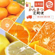 〈定期便〉【1・2・3・4月 全4回】紀州和歌山産旬のフルーツセット(みかん・不知火・レモン・清見)