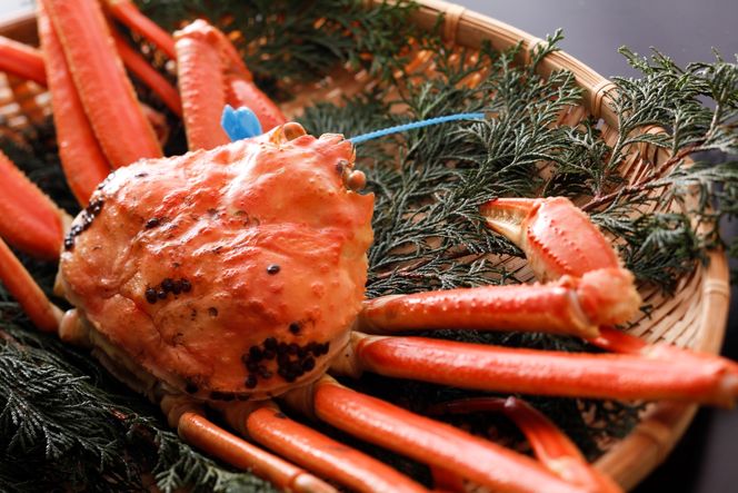 yɌLszykinosaki spa&gardens@ygpz^O 䥂ŏtKj@700g