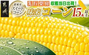 【先行受付】朝どれ!!都城産スイートコーン(味来コーン)5kg 15本以上_12-B401-6_(都城市) 朝どれ とうもろこし スイートコーン 5キロ 約15本以上 産地直送 みずみずしい あまい