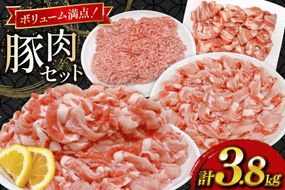 豚肉 宮崎県産豚肉 3.8kg 詰め合わせ セット [TRINITY 宮崎県 日向市 452061327] 小分け 豚 肉 宮崎 ロース スライス 豚バラ とんかつ 切り落とし ミンチ 豚ミンチ ひき肉 真空パック
