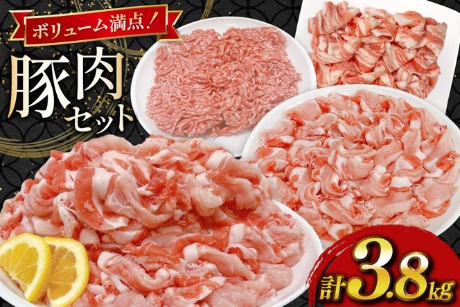 豚肉 宮崎県産豚肉 3.8kg 詰め合わせ セット [TRINITY 宮崎県 日向市 452061327] 小分け 豚 肉 宮崎 ロース スライス 豚バラ とんかつ 切り落とし ミンチ 豚ミンチ ひき肉 真空パック