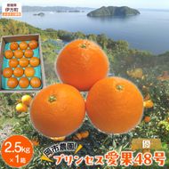 【先行予約】【数量限定】【優】岡市農園！プリンセス愛果48号 約2.5kg（2027年2月下旬より順次発送） IKTV012