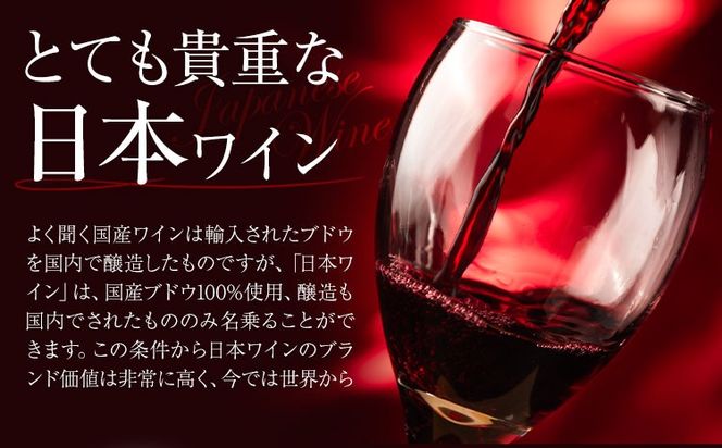 酒 日本ワイン 750ml 2本 矢掛放送 岡山県矢掛町《30日以内に出荷予定(土日祝除く)》 酒 ワイン 国産 ヒロハンブルグ 赤ワイン 国産 ブドウ 100％---osy_cyhwine_30d_26_44000_2---