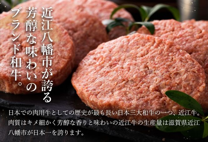 【溢れる肉汁で大人気！】近江牛と黒豚のハンバーグ【900ｇ（150ｇ×6個）】【AF01U】