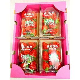 G7346_【2027年先行予約】 紀州和歌山ブランド いちご まりひめ 250g×4P