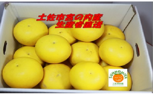 三宮果樹園の土佐文旦 家庭用３Kg 