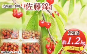 先行受付 北海道 仁木町産 さくらんぼ 佐藤錦 1.2kg (300g×4パック) Lサイズ以上  旬 桜桃 産地直送 サクランボ チェリー フルーツ 果物 果物類 仁木町 仁木 [松山商店]